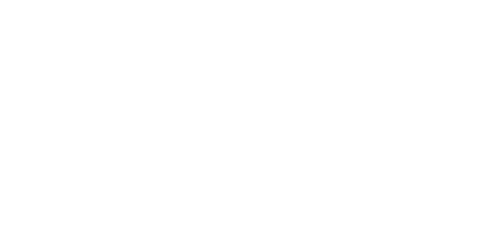 skillshape logo